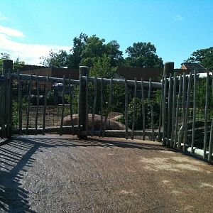 Africa- Viewing deck.