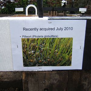 Label for one of the plant species