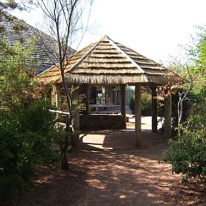 New hut by the Tasavo Rhino House