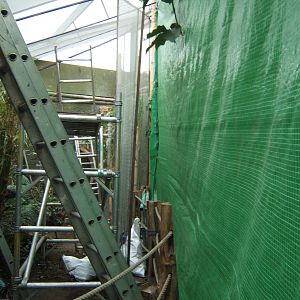 Work on Aviary in Realm of the Red Ape