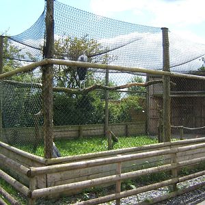 View of Marabou Stork Aviary