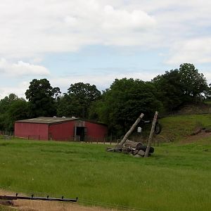 Elephant Enclosure and Barn  -  04.06.2012