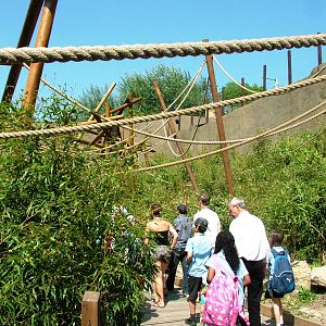 Lemur Walkthrough at Colchester, 28/05/12