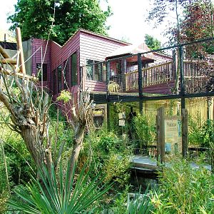 Lemur Walkthrough at Colchester, 28/05/12