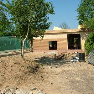 Giant Tortoise Construction at Colchester, 28/05/12