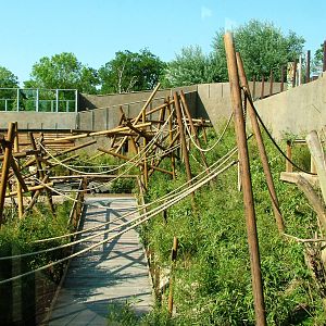 Lemur Walkthrough at Colchester, 28/05/12