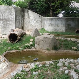 North American River Otter Exhibit