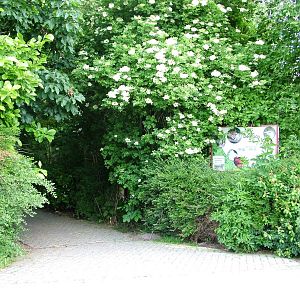 Main Entrance at De Paay, 02/06/12