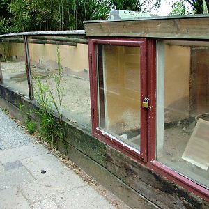 Mongoose Exhibit at De Paay, 02/06/12