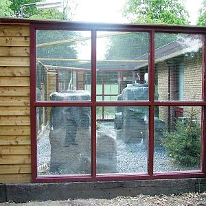 Snowy Owl Aviary at De Paay, 02/06/12