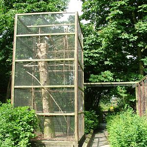 Squirrel Exhibit at De Paay, 02/06/12