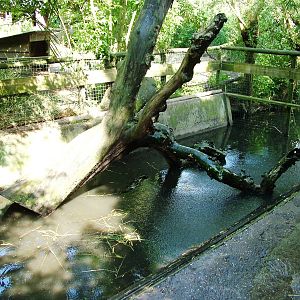 Otter Enclosure at De Paay, 02/06/12