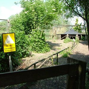 Wallaby Walkthrough at De Paay, 02/06/12
