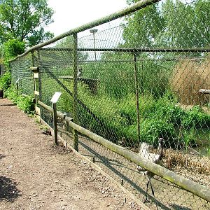Crane Aviaries at De Paay, 02/06/12