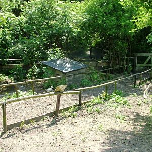 Wallaby Walkthrough at De Paay, 02/06/12