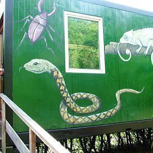 Reptile, erm, Container at De Paay, 02/06/12