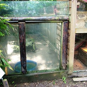 Mongoose Exhibit at De Paay, 02/06/12