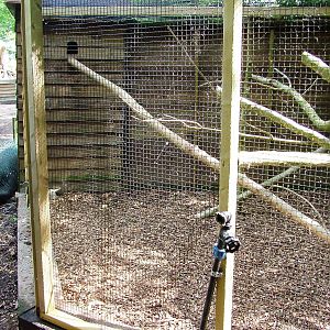 Grison Enclosure at De Paay, 02/06/12