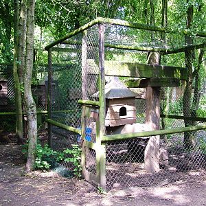 Coati Enclosure at De Paay, 02/06/12