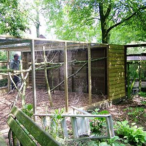 Grison Enclosure at De Paay, 02/06/12