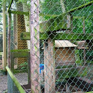 Coati Enclosure at De Paay, 02/06/12