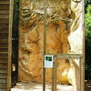Kea Aviary at De Paay, 02/06/12