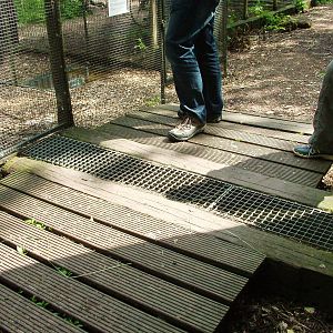 Kea Underfoot Access Tunnel at De Paay, 02/06/12