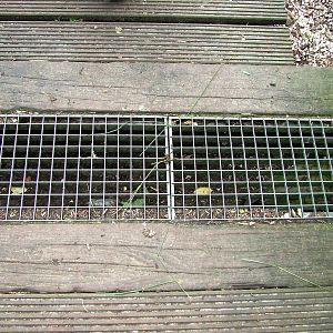 Kea Underfoot Access Tunnel at De Paay, 02/06/12