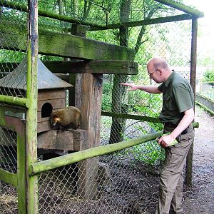 Coati Enclosure at De Paay, 02/06/12