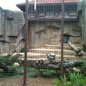 Sumatran Tiger Outdoor Exhibit.