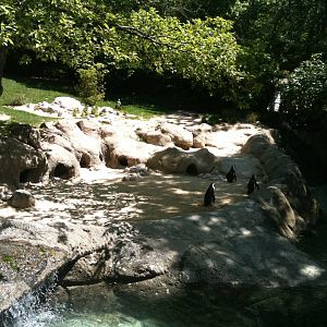 Penguin Exhibit