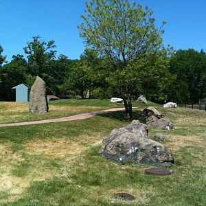 Australian Walk-a-bout