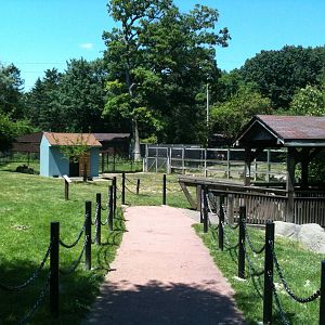 Australian Walk-a-bout: