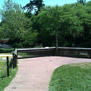 Australian Walk-a-bout overlook