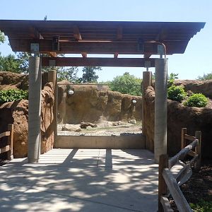 River Otter Exhibit-over-look viewing window