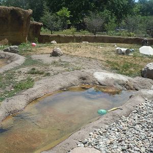 River Otter-View from the over-look viewing window.