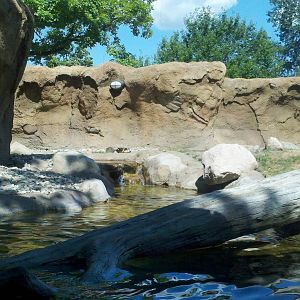 River otter Exhibit.
