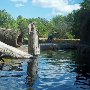River otter Exhibit