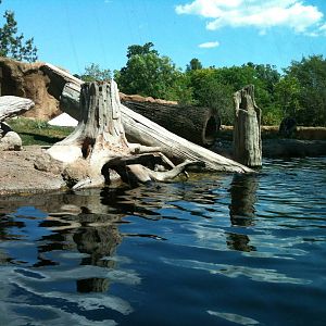 river otter exhibit