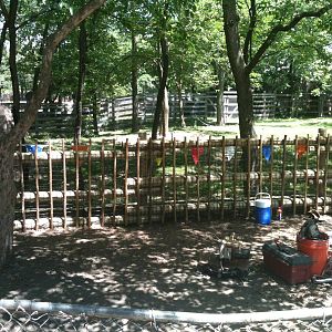 New Kangaroo Fencing