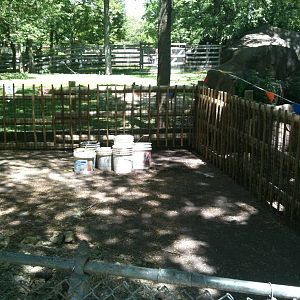 New Kangaroo Fencing