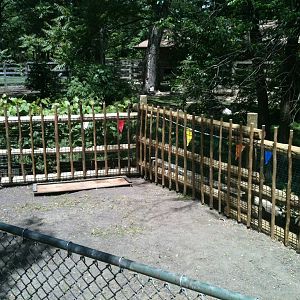 New Kangaroo Fencing