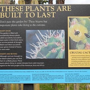 cactus_garden_sign_SB_Zoo