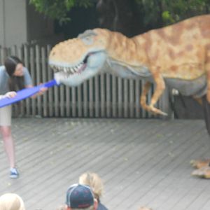 How to Train Your Dinosaur show