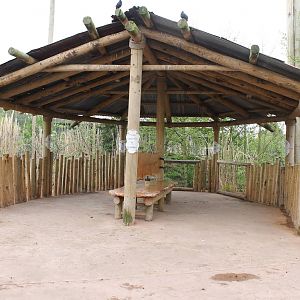 Tsavo Aviary shelter, Chester Zoo 17 May 2012