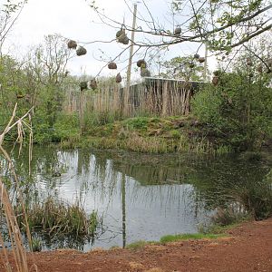 Tsavo aviary pond