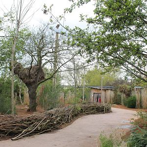 Tsavo aviary pathway