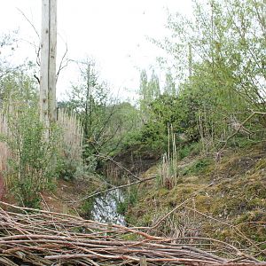 Tsavo aviary stream Chester Zoo 17 May 2012