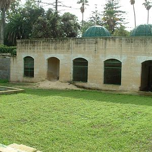 Old Hoofstock Houses and Paddocks