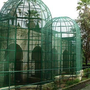 Old Primate Cages and House